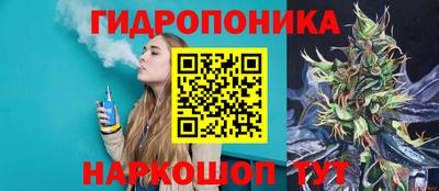 герыч Кингисепп
